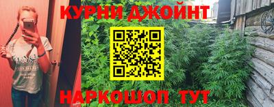 твердый Пугачёв