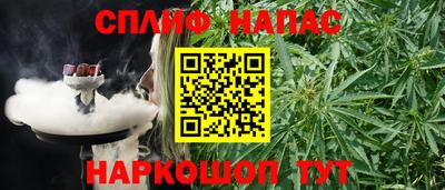 гашик Пыть-Ях