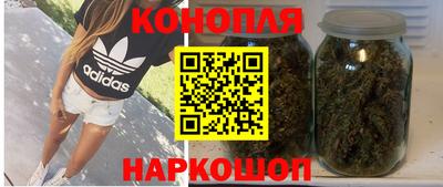 гашик Пыть-Ях