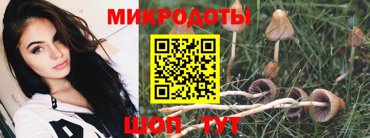 Славянск-на-Кубани  Псилоцибиновые грибы мухоморы  Вход с VPN 