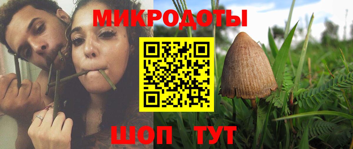 Псилоцибиновые грибы прущие грибы Славянск-на-Кубани